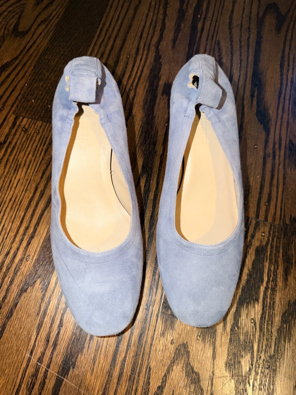 Everlane The Day Heel Light Blue Suede Italian 5.5